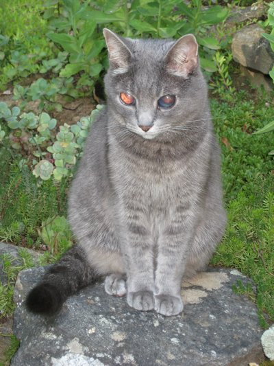 7.29.10 ~ Bernie