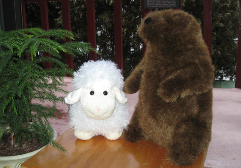 2.2.11 - Groundhog Day
