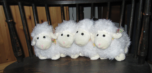 2.1.11 - Brigid's lambs