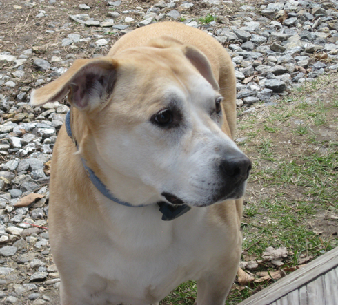 4.15.11 ~ Maggie
