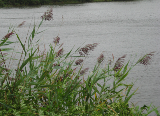 8.28.11.poq.river