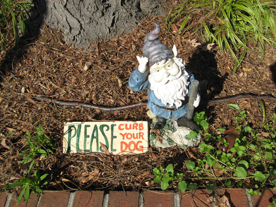 11.25.11.gnome