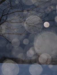Orbs at Avery Point