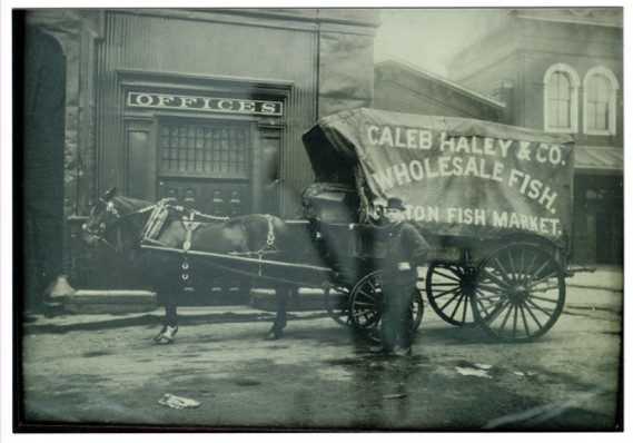 groton.history.caleb.haley