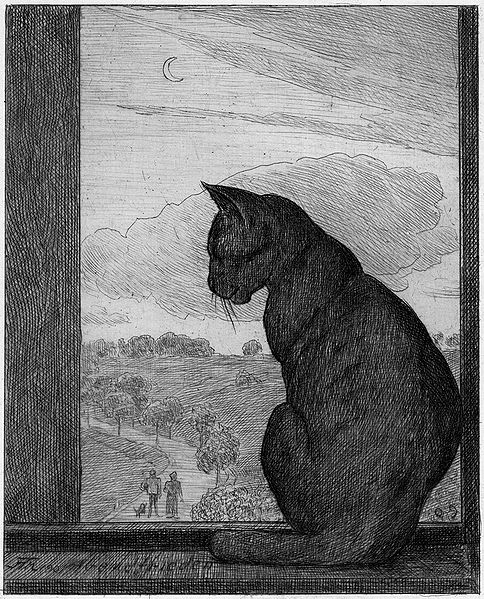 the themes of darkness in the poems we grow accustomed to the dark by emily dickinson and acquainted Emily dickinson's we grow accustomed to the dark and robert frost's acquainted with though these two poems by dickinson and frost share the element of dark or night, the poets speak from very different perspectives dickinson's 'darkness' connotes uncertainty and change. the themes of darkness in the poems we grow accustomed to the dark by emily dickinson and acquainted Emily dickinson's we grow accustomed to the dark and robert frost's acquainted with though these two poems by dickinson and frost share the element of dark or night, the poets speak from very different perspectives dickinson's 'darkness' connotes uncertainty and change.