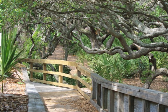 4.9.12.cins.boardwalk.2