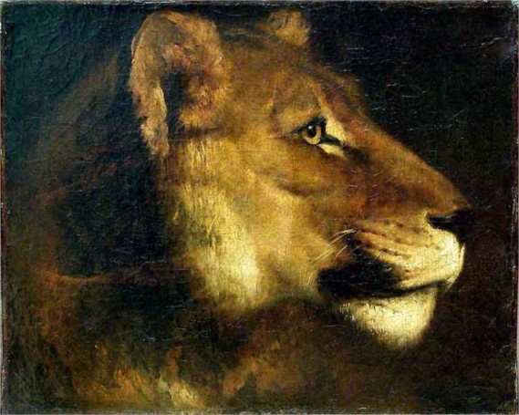 "Head of Lioness" by Theodore Gericault (1791-1824) French Painter