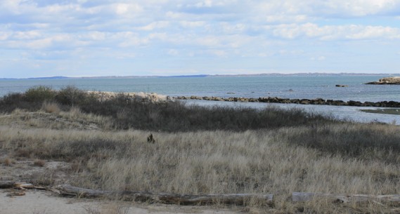 4.2.12.oceanbeach781