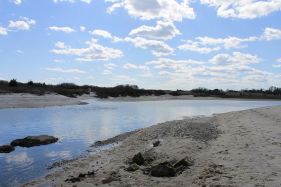 4.2.12.oceanbeach794