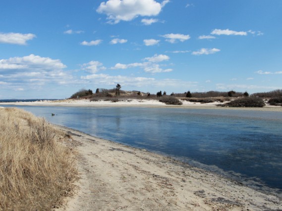 4.2.12.oceanbeach842