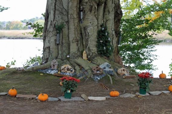 10.12.12.beechhearth1
