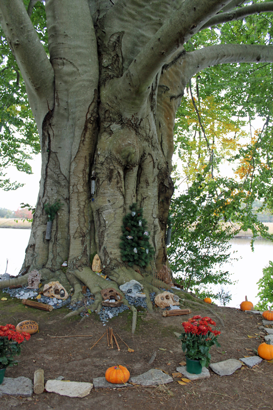 10.12.12.beechhearth2