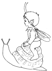 fairy.snail