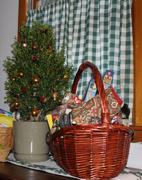 12.22.12.boxwoodtree
