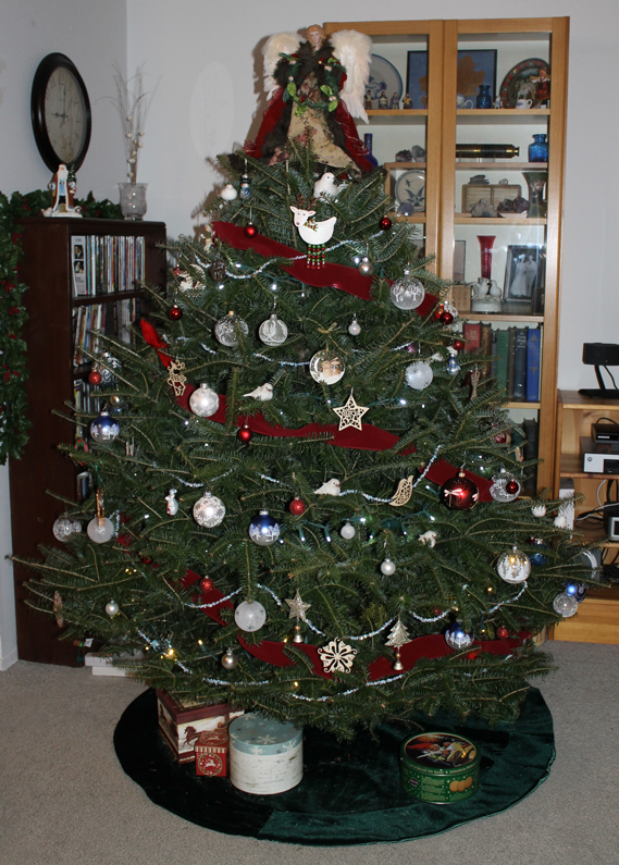 12.22.12.xmastree