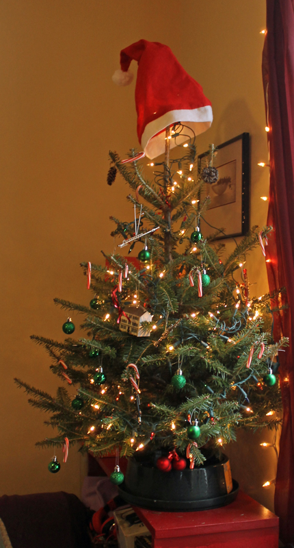 12.25.12.tree