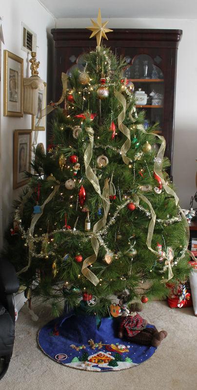 12.26.12.whitepinetree