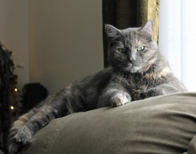 12.26.12.zoe