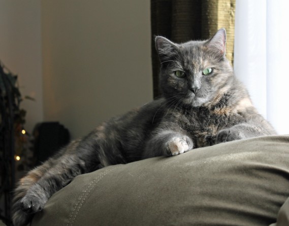12.26.12.zoe