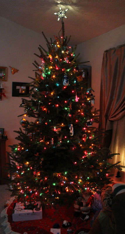 12.28.12.xmastree