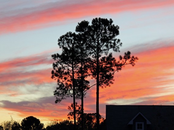 12.29.12.sunsetgeorgia