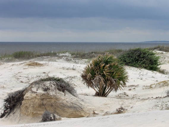 4.6.12 ~ Jekyll Island, Georgia 4.6.12.1122