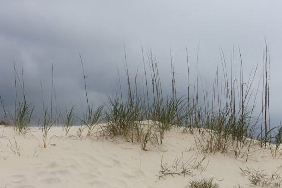 4.6.12 ~ Jekyll Island, Georgia 4.6.12.1147
