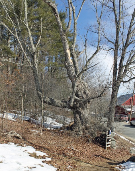 3.10.13 ~ Orange, Massachusetts 3.10.13 ~ Orange, Massachusetts