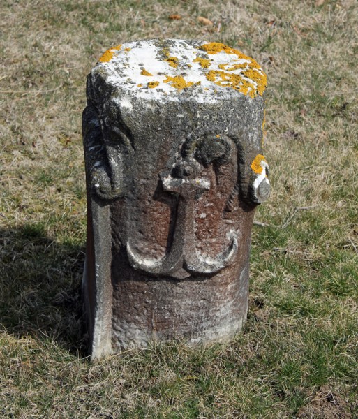 3.31.13.5061