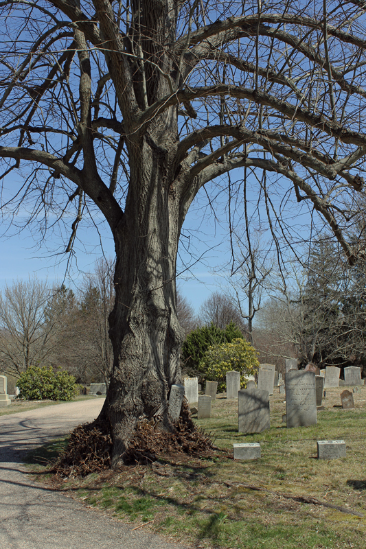 4.16.13 ~ Stonington, Connecticut 4.16.13.5090
