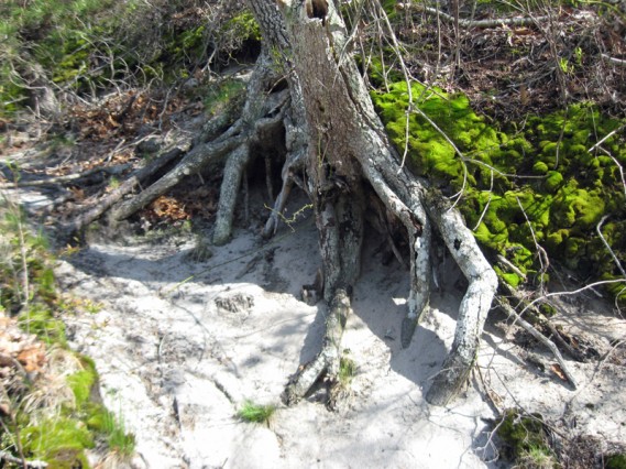 5.10.09 ~ Provincetown, Massachusetts