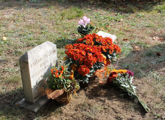 10.17.13.9284