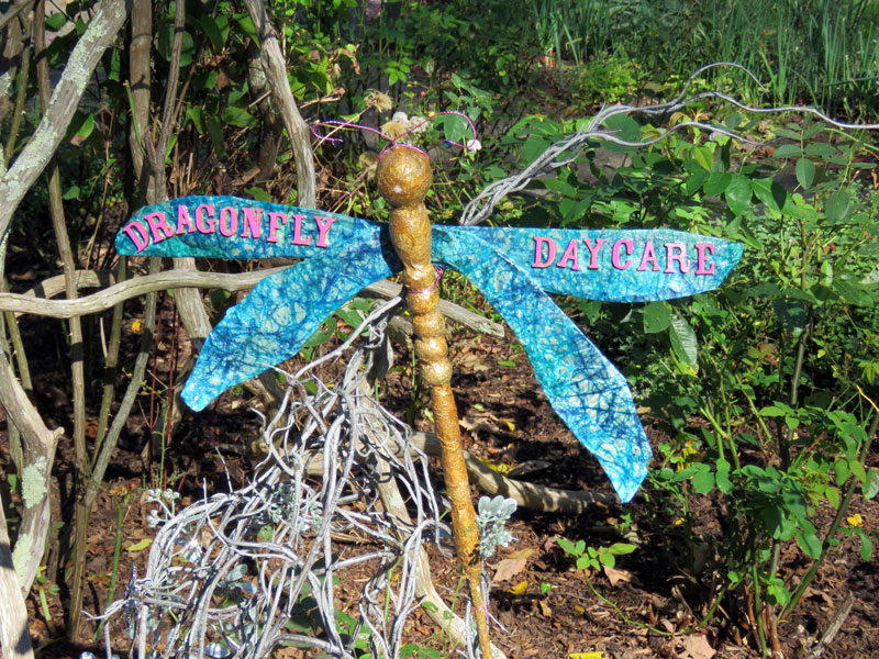 “Dragonfly Daycare” by Nancy MacBride ~ 10.12.17 ~ Old Lyme, Connecticut